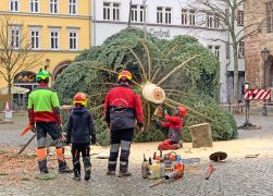 Weihnachtsbaum In Jena Aufgestellt 13112021 004